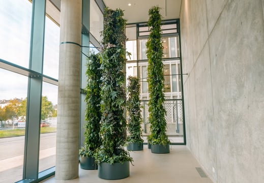 Plant columns